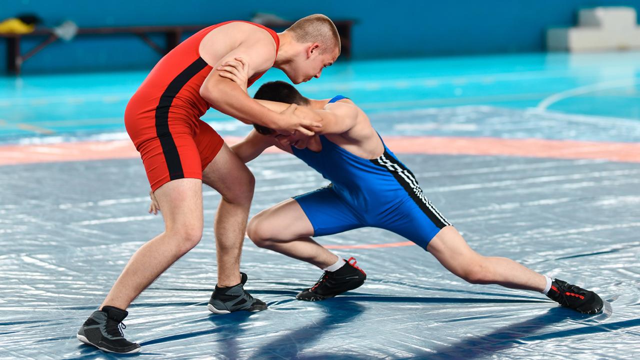 Seguridad en la lucha libre
